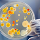 Illustration for article titled Why Brewers Are DNA-Testing Beer for Bacterial Infections